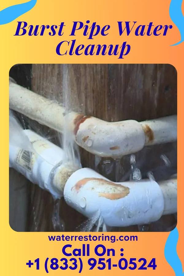 Burst Pipe Water Cleanup in Columbia, SC