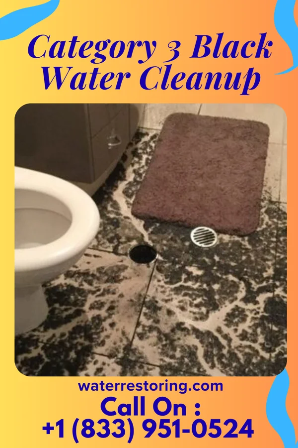 Category 3 Black Water Cleanup in Columbia, SC