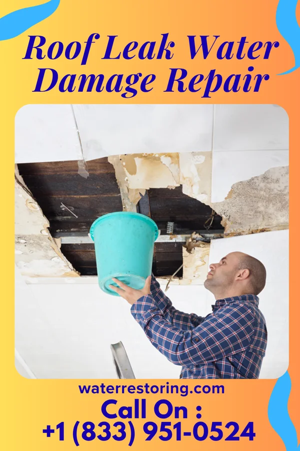 Roof Leak Water Damage Repair in Columbia, SC
